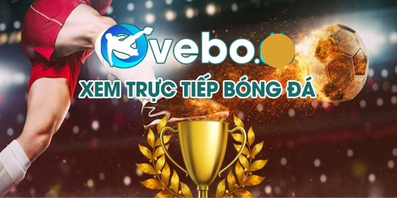 Ưu điểm khi chọn xem truyền hình trực tiếp trên Vebo