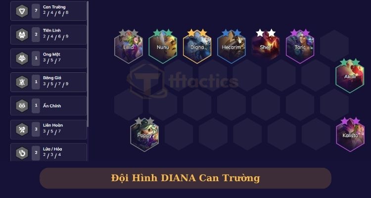 diana dtcl