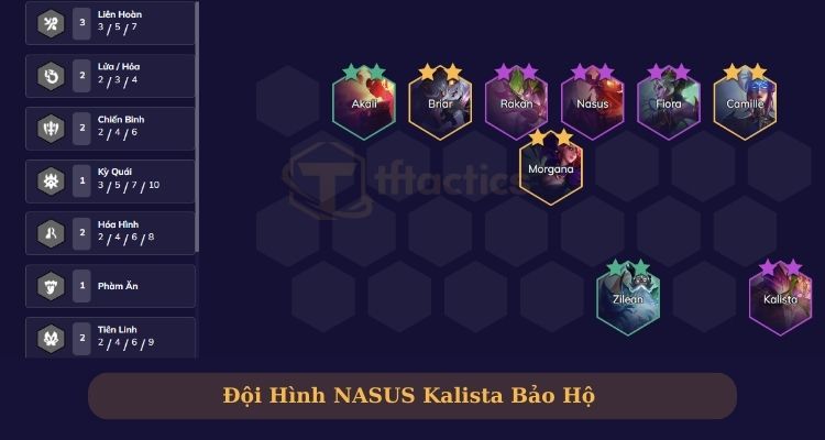 nasus dtcl