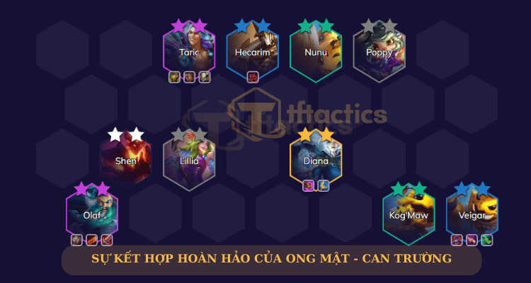 Can Trường - Ong Mật đang rất hot trong meta hiện nay mùa 12