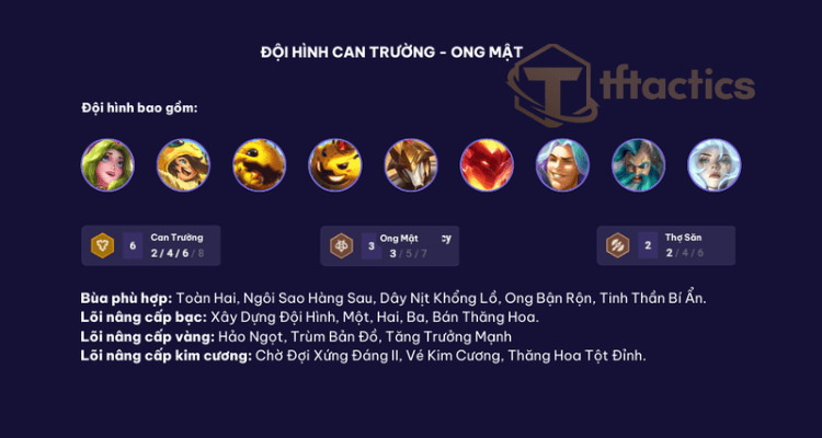 Thông tin sơ bộ về đội hình này trong TFT mùa 12