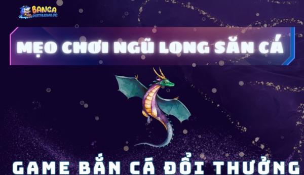 Game Bắn Cá Đổi Thưởng: Mẹo chơi Ngũ Long Săn Cá Hiệu Quả