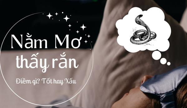 Nằm mơ thấy rắn có ý nghĩa gì và đánh số mấy may mắn?